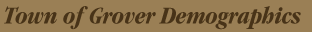 Town of Grover Demographics